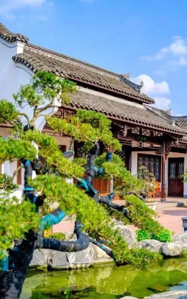 如何用激励帮助孩子爱上篮球训练_0